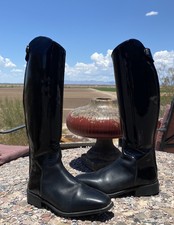 cavallo insignis comfort