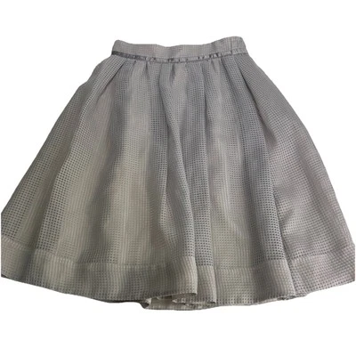 Falda Jill Stuart Gris Malla Midi Línea A Talla S Foto 1 de 4