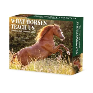 What Horses Teach Us 2026 5.4" x 6.2" Box Calendar - Picture 1 of 6