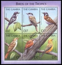 GAMBIA 2346 (SG3756a) - Birds of the Tropics "Souvenir Sheet" (pb50894)