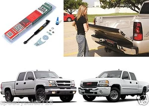 Dee Zee DZ43100 Tailgate Shock Assist For 1999-2006 Silverado Sierra Trucks New - Picture 1 of 7