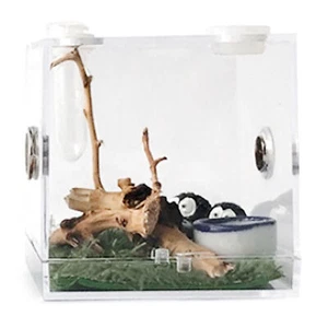 Breeding Box Transparent Insect Feeding Boxes Portable Acrylic Reptile Enclosure - Picture 1 of 13