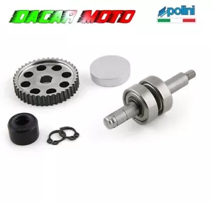 Kit de Revisión Bomba de Agua POLINI Piaggio Zip 50 Sp H2O 280.0008 - Imagen 1 de 8