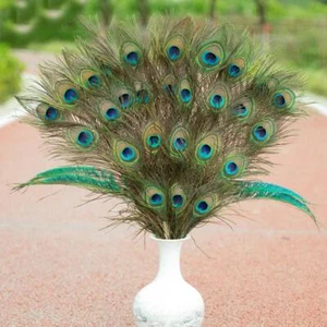 Natural Peacock Tail Eyes Feathers Long BOUQUET P8P8 C7L5 T7X0 - Bild 1 von 12