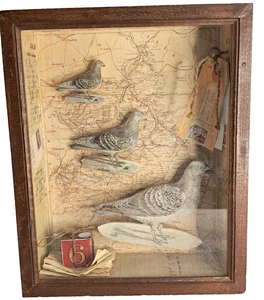 Vintage Racing Carrier Pigeon Paper Art Wooden Glass  Shadow Box 13.25"x10.5"X4" - Picture 1 of 13