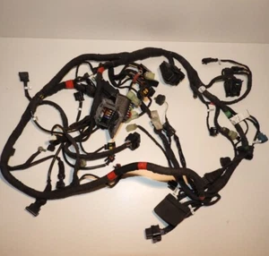 Ducati Monster 821 M821 Faisceau électrique principal - Imagen 1 de 13