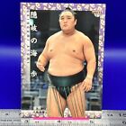 Okinoumi Ayumi 33 Sumo Wrestler Trading Card BBM 2018 TCG Japanese #223a