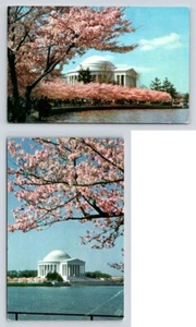 Jefferson Memorial Washington DC, Cherry Blossoms - Lot of 2 Postcards - Picture 1 of 2