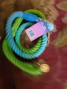 PINK PAPYRUS NOLA GRADIENT ROPE DOG LEASH NWT TOP PAW 46" - Picture 1 of 5