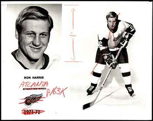 1971-72 DETROIT RED WINGS PRESS PHOTO MEDIA RARE 8X10 RON HARRIS