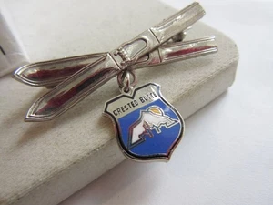 Silberfarbene Crested Butte emaillierte Crossski Anstecknadel - Bild 1 von 4