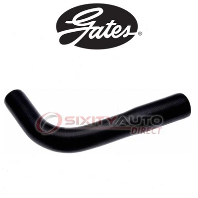 Gates Lower Radiator Coolant Hose for 1971-1973 Jeep J-2500 5.0L 5.9L V8 - wx Foto 1 de 4