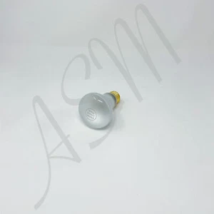 Light Bulb 110 Volt - Picture 1 of 1