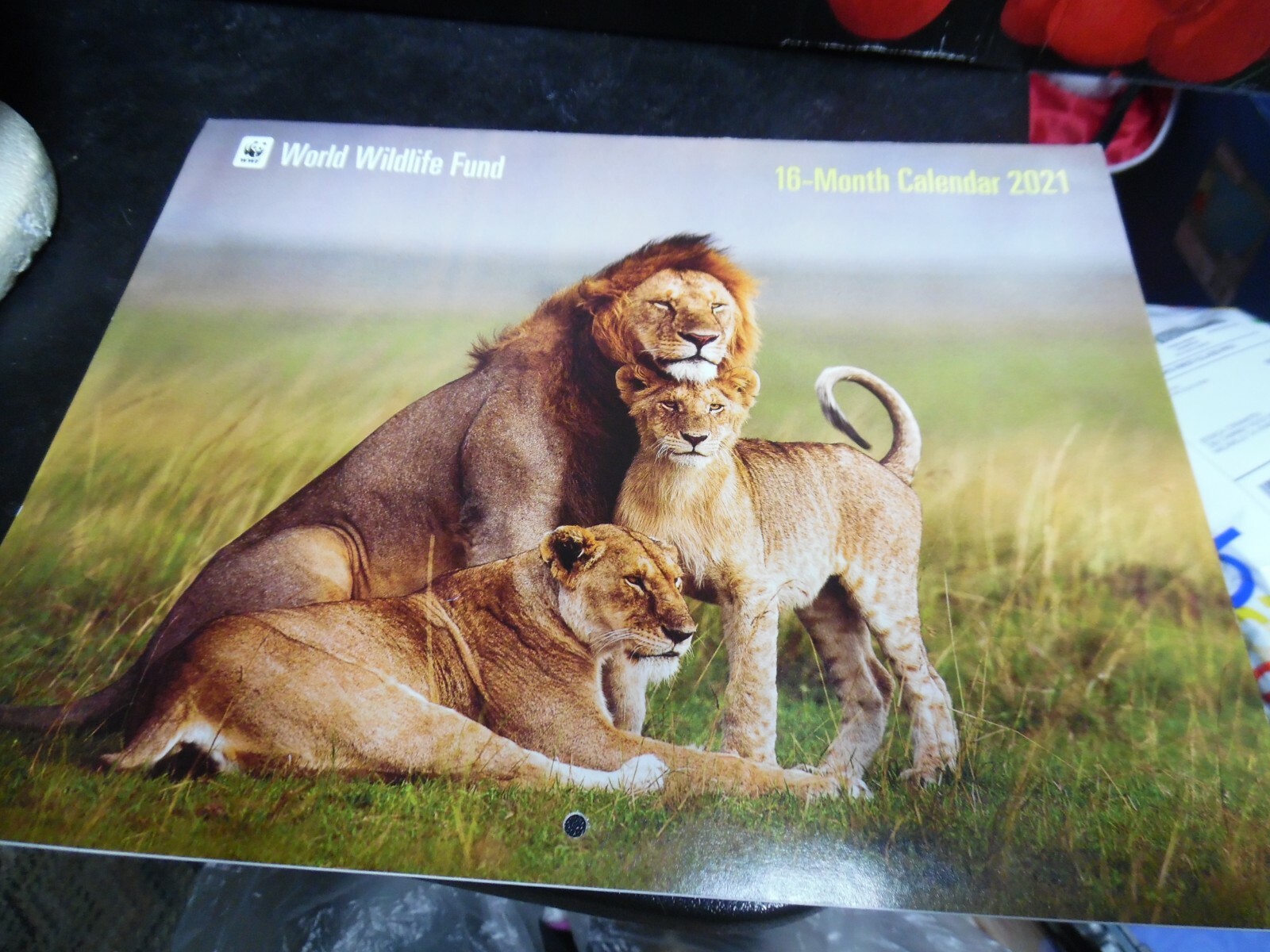 2023 World Wildlife Fund Calendar EBay