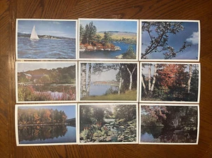 Lot of 9 Vtg Maine Giant Postcards from The Maine Scene Book MJ Bradshaw - Picture 1 of 9