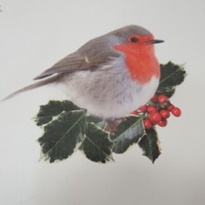 Luxury Christmas Gift Wrap 10 Sheets 50x40cm - Wrapping Paper Robin Holly Branch