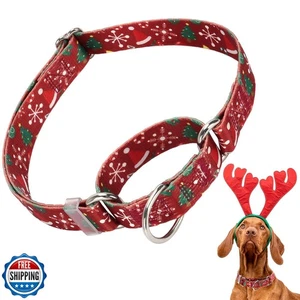 Christmas Martingale Collar for Dogs with Snowflakes and Christmas Trees, Adj - Picture 1 of 5