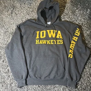 Iowa Hawkeyes Champion Gray Sweatshirt Hoodie Large EUC Chest-Back-Sleeve Print - Picture 1 of 16