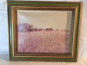 Hill Country Texas Field of Sunflowers,Vtg 8x10 Photo,12.75" X 10.5" Frame - Picture 1 of 5