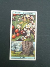 Wills -  Flowering Trees and Shrubs (1924) - # 21  Gean