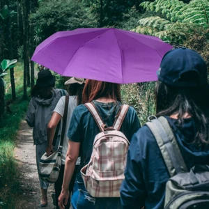 Paraguas Automático Soleado Tormenta Viaje Talla Hombre Plegable Púrpura Pequeño para Mini - Imagen 1 de 12