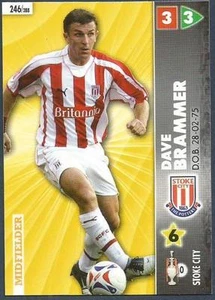 Panini Championship 2007 - #246 - Stoke Dave Brammer - Bild 1 von 1