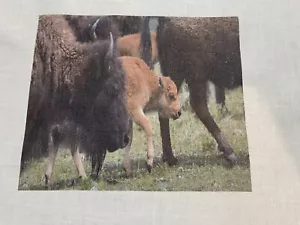 TELA CUADRADA BLOQUE DE EDREDÓN DE 1 PEQUEÑO BÚFALO 10""x10"" NIÑO Adulto Marrón Bisonte #5 - Imagen 1 de 1