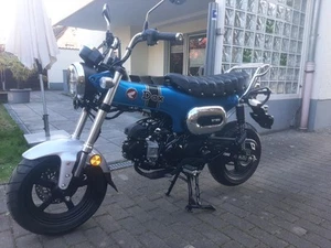 NEUE HONDA Dax ST 125 MIT 800€ ZUBEHÖR - Bild 1 von 5