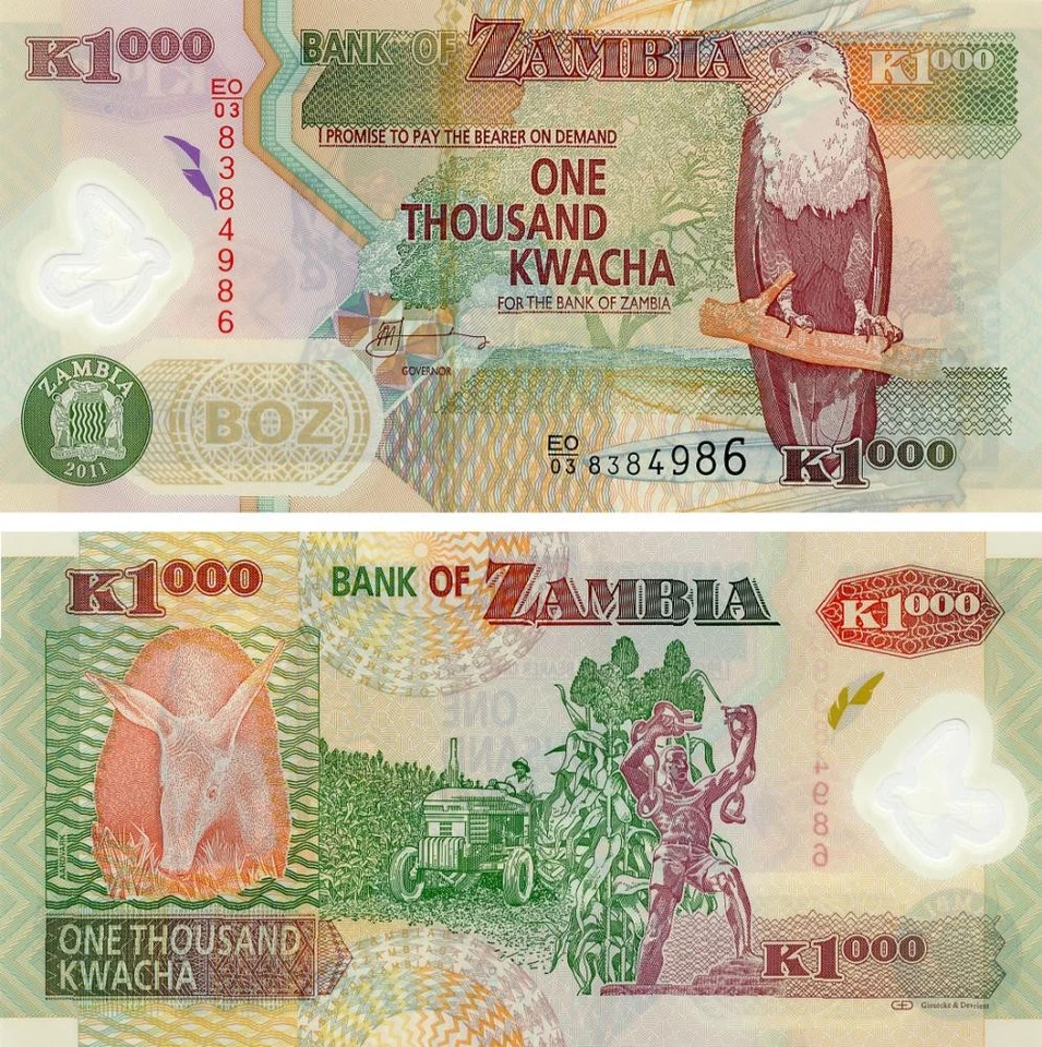 Zambia 1000 Kwacha 2011 Polymer UNC Animal - Aardvark (P44i) - Image 1 of 1