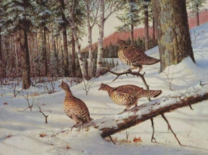 3 Grouse in Snow by Owen Gromme - Picture 1 of 1