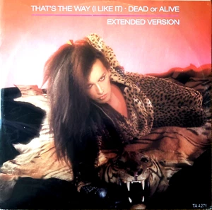 Dead Or Alive - Thats The Way ( I Like It)  U.K. Import - 12" Vinyl Extended Mix - Picture 1 of 4