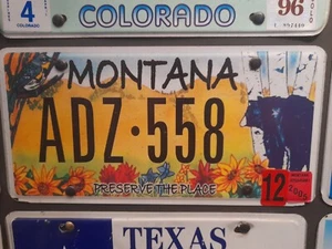 Matrícula de novedad Montana ADZ 558. 12 2005 Raro. - Imagen 1 de 3