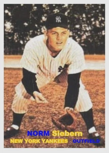 NORM SIEBERN 57#### BUY 5 GET 1 FREE #### or 30% OFF 12 OR MORE - Picture 1 of 1