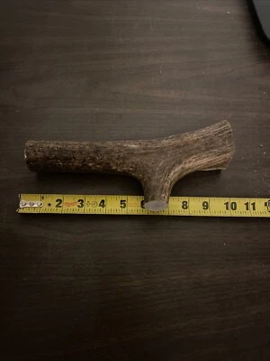 XX-LARGE Elk/Deer Antler Premium Dog Chew (1pc) - Image 1 of 2