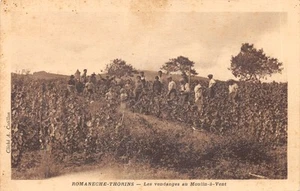 69-ROMANECHE THORINS-VENDANGES AU MOULIN A VENT-N�521-G/0055 - Imagen 1 de 2