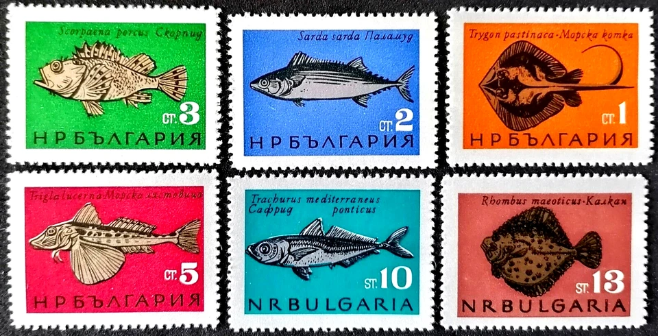 BULGARIA   1965  -  PECES . - Imagen 1 de 1