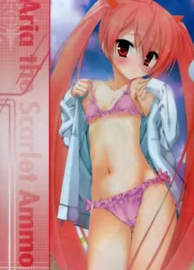 clear file folder Aria the Scarlet Ammo anime movic Kanzaki Hotogi Shirayuki - Picture 1 of 2