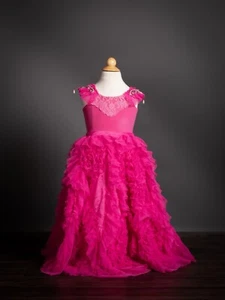 NEW Dollcake Best Wishes Barbie Frock Gown Special Party Size 5 - Picture 1 of 6