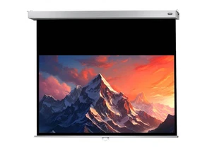 celexon Leinwand Rollo Professional Plus 240 x 135 cm - 108" (  Rollo ) - Bild 1 von 4