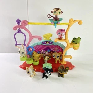 Vintage Littlest Pet Shop LPS Lot Of 11 Tricks n' Talent Show 2006 W 10 LPS Y2K - Picture 1 of 11