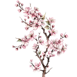 Wandtattoo Aufkleber Kirschblüte Wandaufkleber 18X18cm Groß - Bild 1 von 1