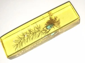 Antiker Plexiglas Block ECHTER Käfer Insekt Pflanze Natur Szene Vintage Unikat Geschenk - Bild 1 von 7
