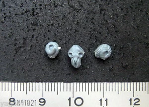 RTS07 CRANE BOUC ROI DES TOMBES WARHAMMER BITZ - Imagen 1 de 1