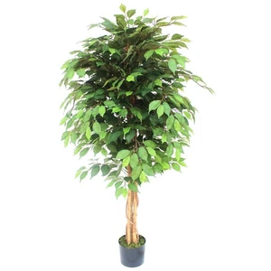 Árbol de ficus artificial grande 150 cm por hoja Reino Unido - Imagen 1 de 3