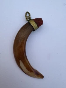 428- Pendant, Necklace Pendant, Boar Tusk Pendant, Pig Tooth Pendant - Picture 1 of 7