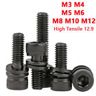 M4 M5 M8 M12 Hochfester 12.9 Zylinderschraube Innensechskant + Unterlegscheiben