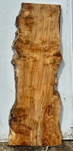 J121 Tiger Maple Burl Live Edge Slab , Birds Eye Epoxy Project Curly 50x20x1.5 - Picture 1 of 13