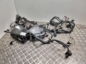 Juego de cables del motor de gasolina Ford C-MAX II 2018 J1DT91KY49342 92 kW - Imagen 1 de 5