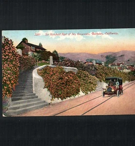 BERKELEY, CA *  RESIDENTIAL 600 FT. of IVY GERANIUMS * UNPOSTED VINTAGE c. 1910 - Picture 1 of 2