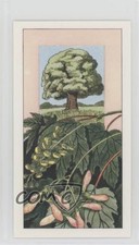 1965 Badshah Fruits of Trees and Shrubs Tea Sycamore #2 z6d